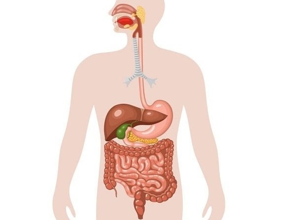 Khi nào người bệnh cần phẫu thuật tiêu hóa? 1