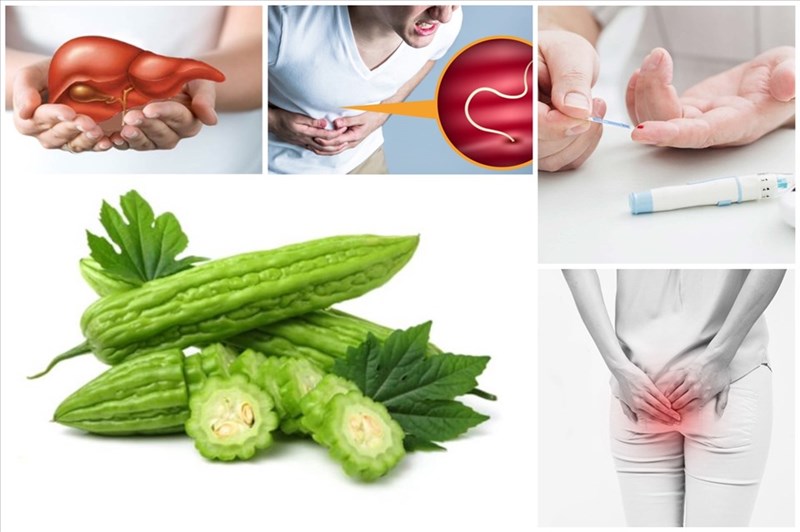 Khổ qua ăn sống được không? Lợi ích dinh dưỡng từ khổ qua 2