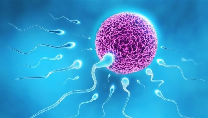 Không có tinh trùng nên ăn gì để tăng cường sức khỏe sinh sản? 1