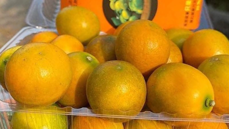 Trái kim quất có chứa lượng viatamin C dồi dào