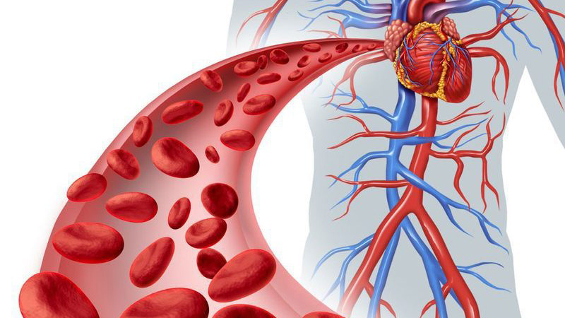 Kỹ thuật flow cytometry là gì? Ứng dụng trong y học ra sao? 4