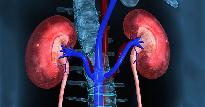 Kỹ thuật lọc máu hấp phụ là gì? 3