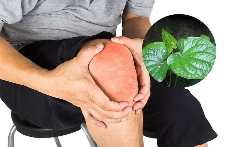 Lá lốt nấu nước uống trị bệnh gì? Uống hằng ngày có tốt không? 3