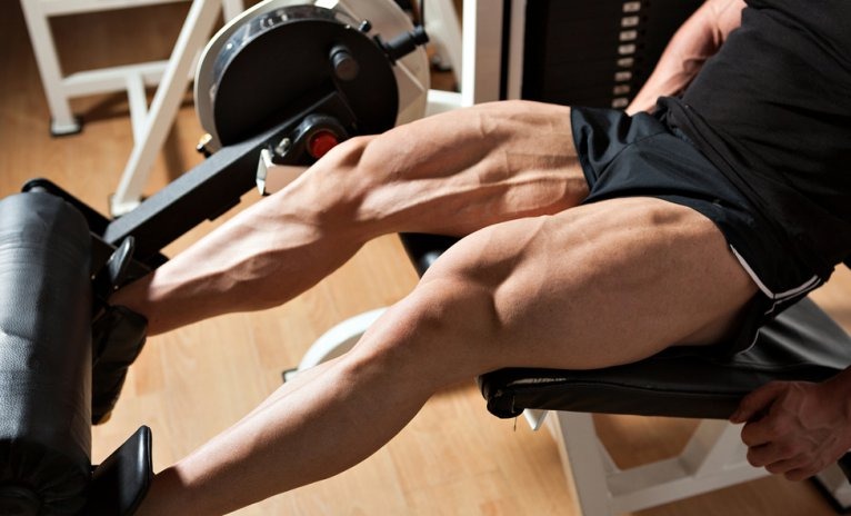 leg-day-la-gi-bai-tap-chan-cho-leg-day-hieu-qua 2.jpg