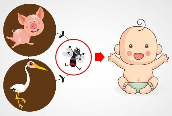 Lịch tiêm viêm não Nhật Bản cho trẻ và người lớn 1