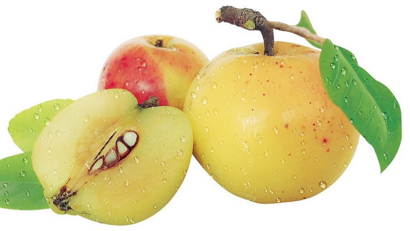 Liệu có chữa gan nhiễm mỡ bằng táo mèo được không? 1