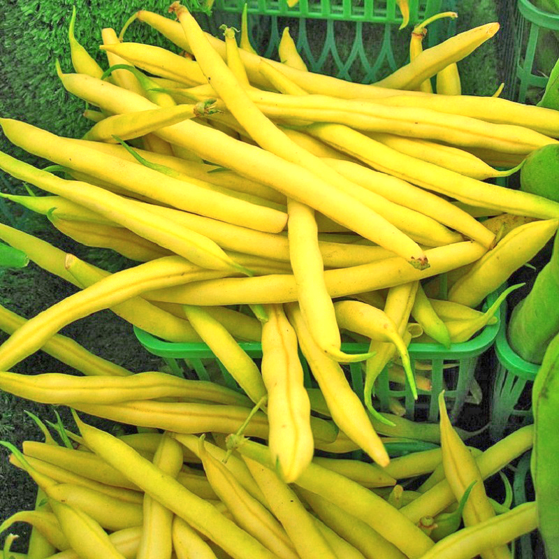 Lợi ích sức khỏe của nhóm rau củ màu vàng 6