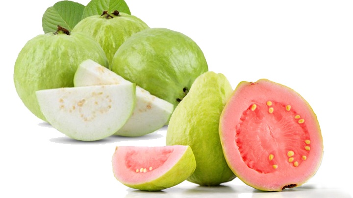 Bất ngờ về hàm lượng vitamin C trong quả ổi 2