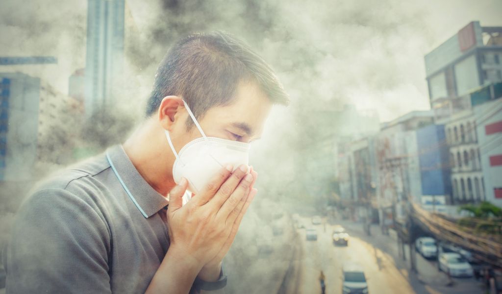 Lựa chọn thực phẩm tăng cường hệ miễn dịch 1