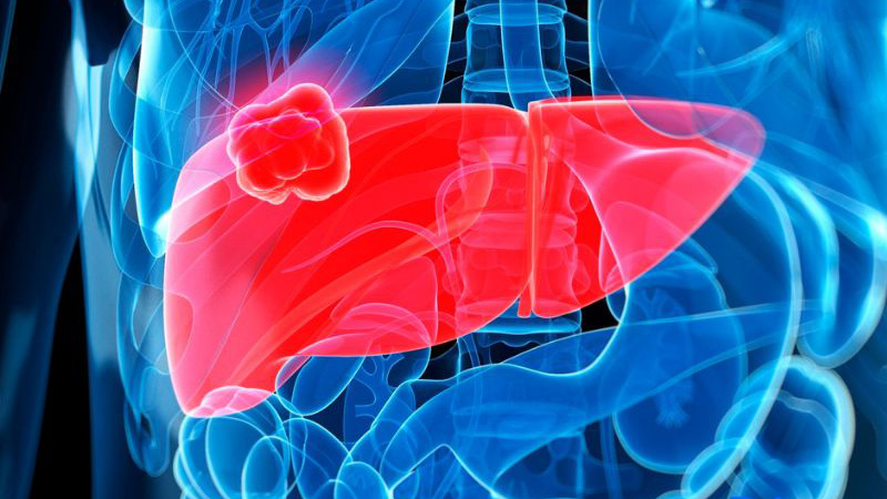 Lúa mì và lúa gạo khác nhau như thế nào? Hướng dẫn bạn cách ăn phù hợp để tốt cho sức khỏe 3