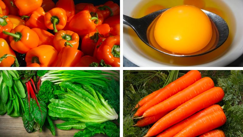 Mách bạn cách điều trị đau mắt đỏ nhanh nhất 4