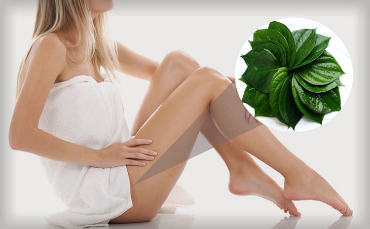 Mách bạn những cách chữa viêm lộ tuyến bằng lá trầu không hiệu quả tại nhà 1