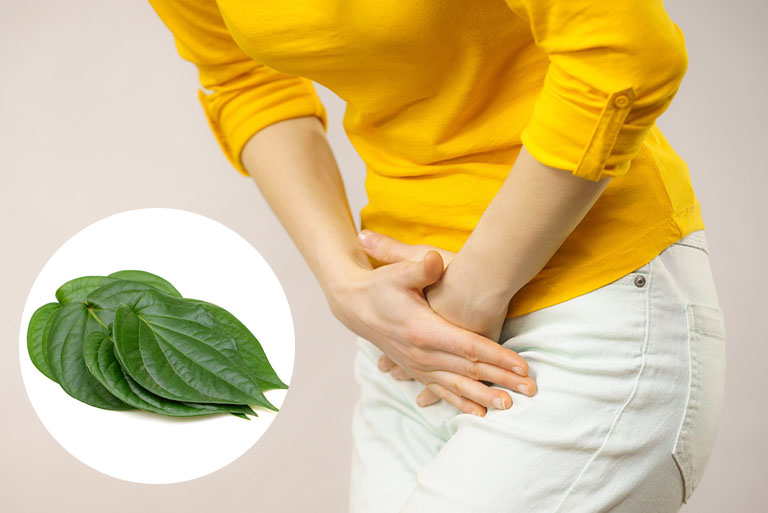 Mách bạn những cách chữa viêm lộ tuyến bằng lá trầu không hiệu quả tại nhà 4