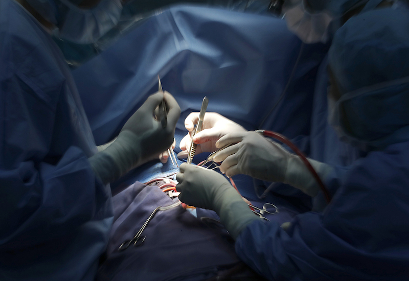 Mạch corrigan là gì? Dấu hiệu cảnh báo và cách điều trị hiệu quả 5