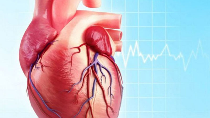 Mạch corrigan là gì? Dấu hiệu cảnh báo và cách điều trị hiệu quả 1
