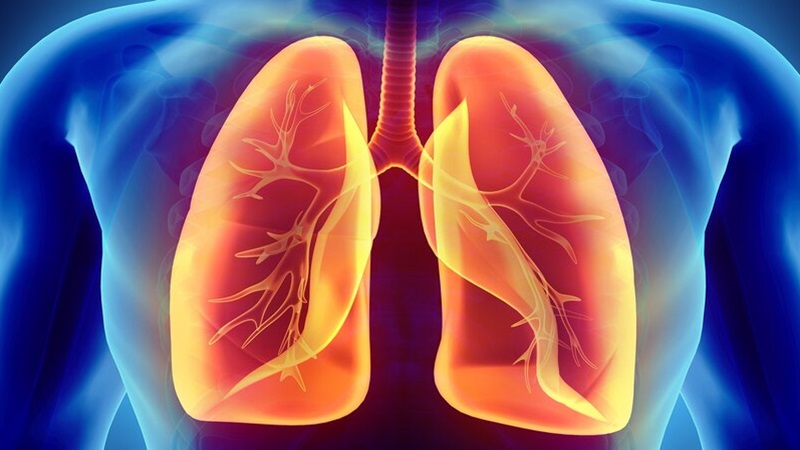 Màng phổi: Cấu tạo, chức năng và các bệnh lý thường gặp 3