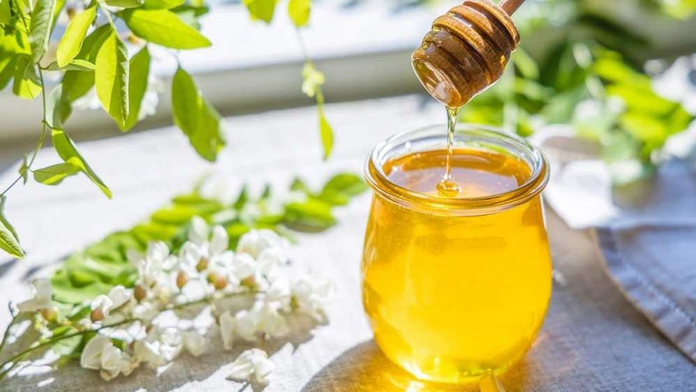 Mật ong bạc hà là gì? Có màu gì, có những công dụng gì?