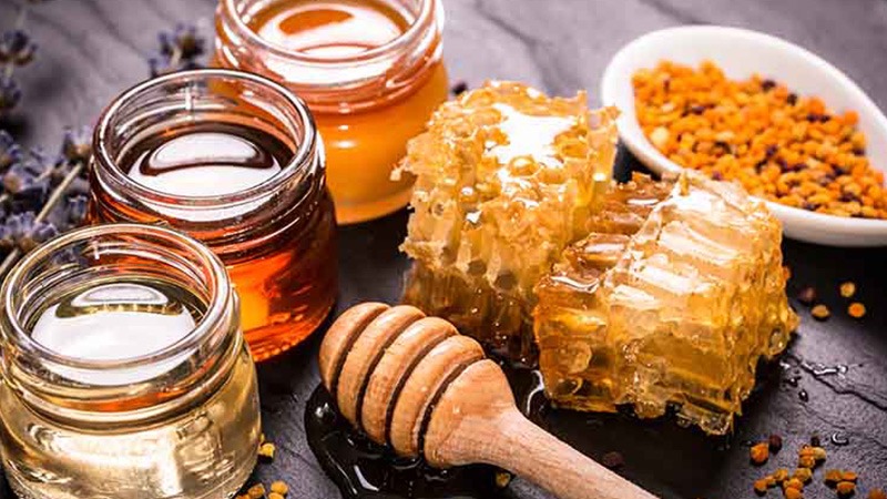 Mật ong khoái có tốt không? Đặc điểm của mật ong khoái 3