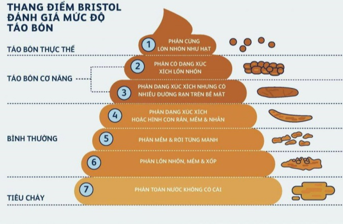 Màu phân nói lên điều gì? Hình dạng phân báo hiệu điều gì về sức khỏe? 3