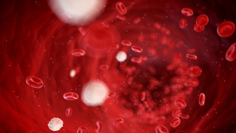 Máu toàn phần là gì? Cách bảo quản và sử dụng 1