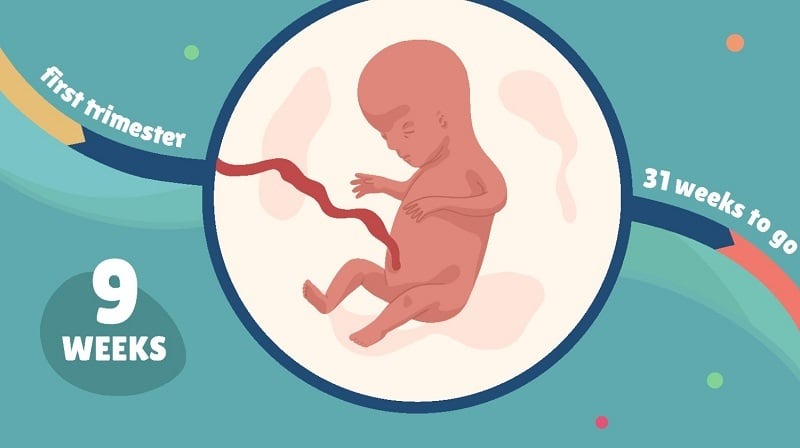 Mẹ bầu mang thai 9 tuần bụng to chưa? 1