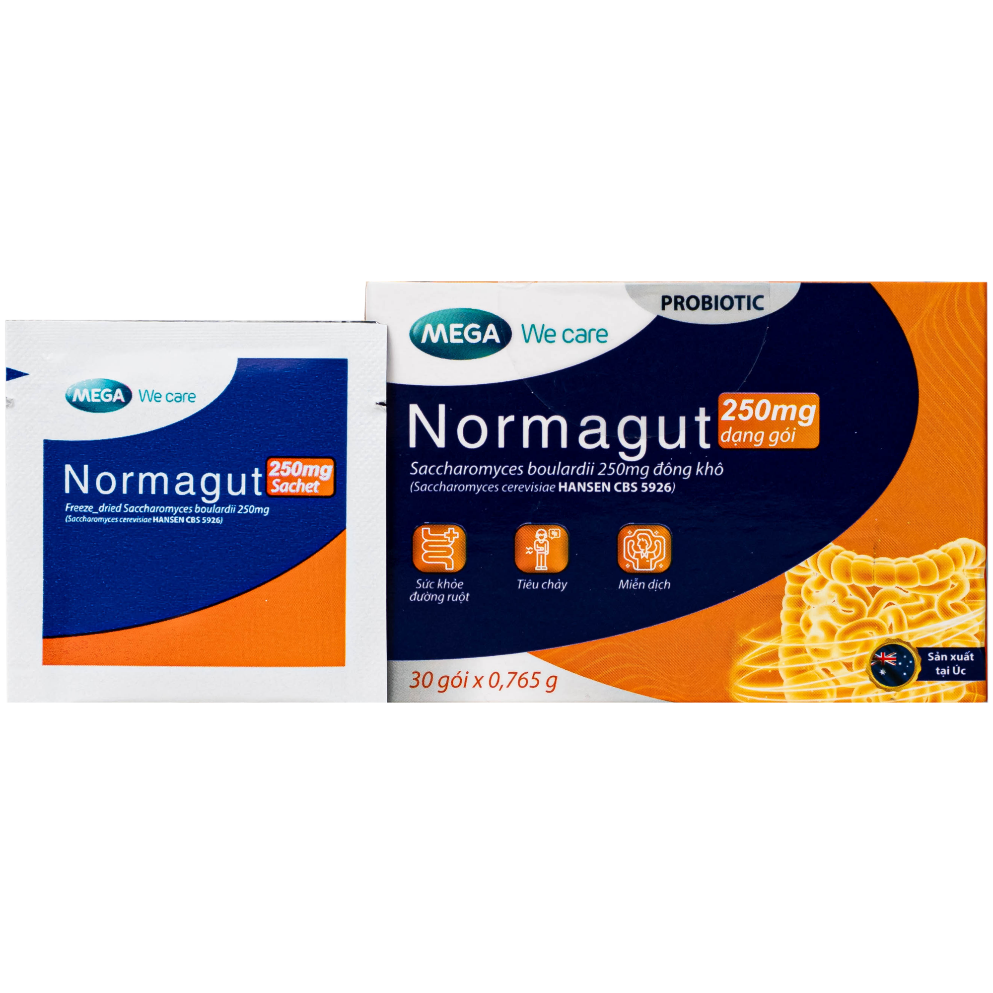 MEN VI SINH HỖ TRỢ BẢO VỆ ĐƯỜNG RUỘT KHỎE MẠNH NORMAGUT SACHET MEGA 30 GÓI