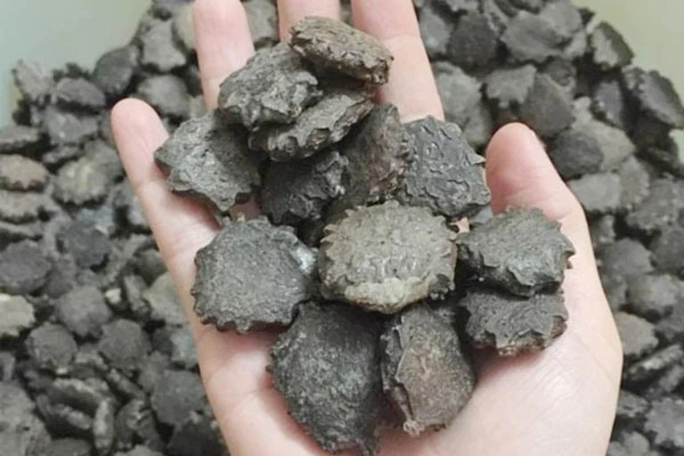 Mẹo chữa quai bị ở trẻ em an toàn và hiệu quả tại nhà 2