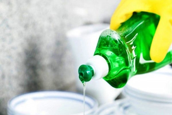 meo-dung-cach-duoi-muoi-bang-nuoc-rua-chen 2.jpg