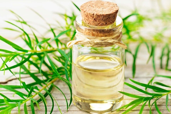 meo-dung-cach-duoi-muoi-bang-nuoc-rua-chen 3.jpg