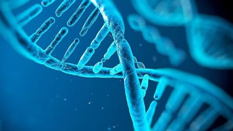 Methyl hóa là gì? Vai trò của Methyl hóa đối với sức khỏe 3