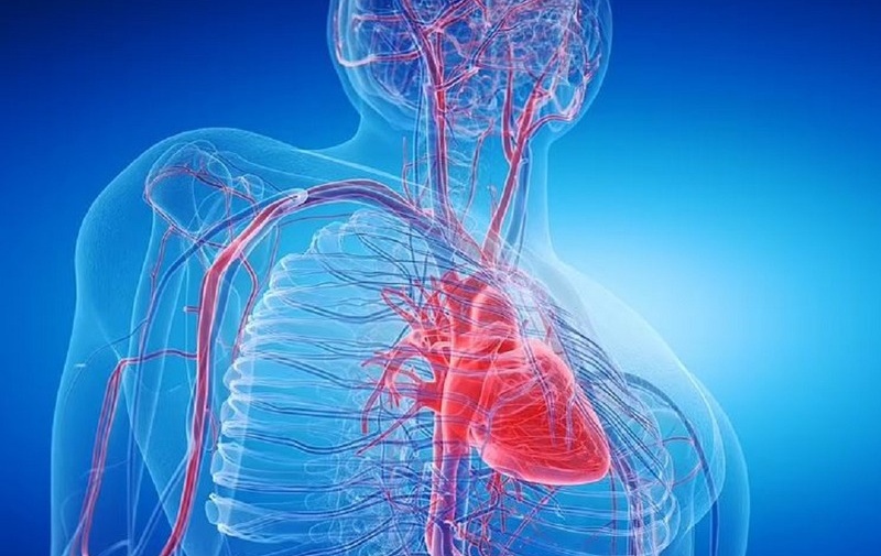 Mổ cường giáp có nguy hiểm không? Lưu ý khi điều trị bệnh cường giáp 4