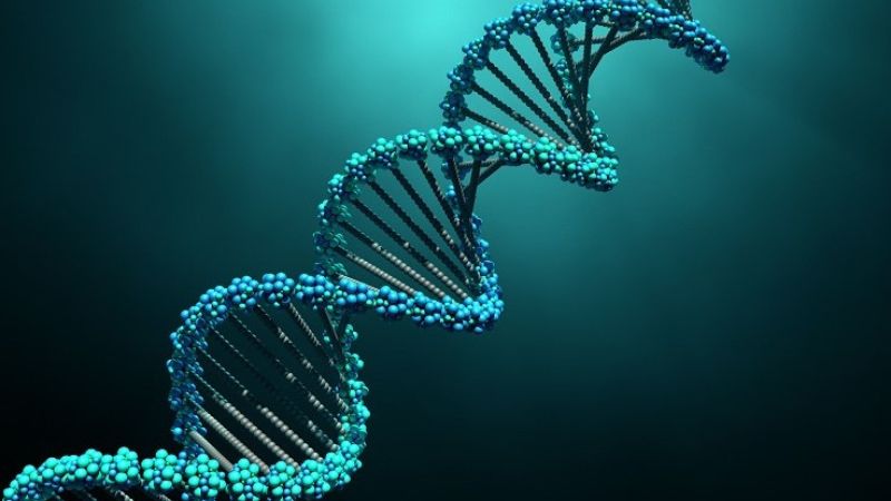 Mối quan hệ giữa oncogene và ung thư di truyền là gì? 2