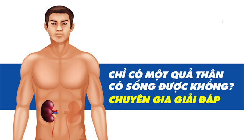 Một quả thận có sống được không? Cần lưu ý gì không? 3