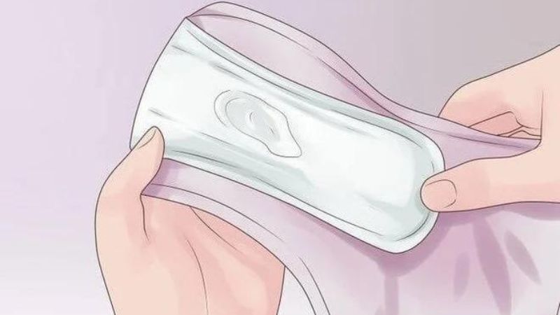 Khung chậu nữ giới và những bệnh lý liên quan3