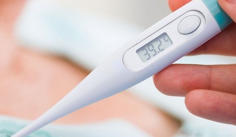 muoi-van-nhan-biet-va-cach-phong-chong-muoi-van-dot 4.jpg