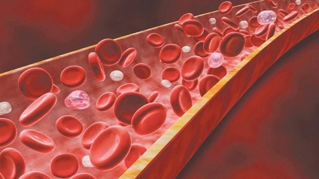 Nadecin 10mg là thuốc gì? Những điều cần lưu ý khi sử dụng 2