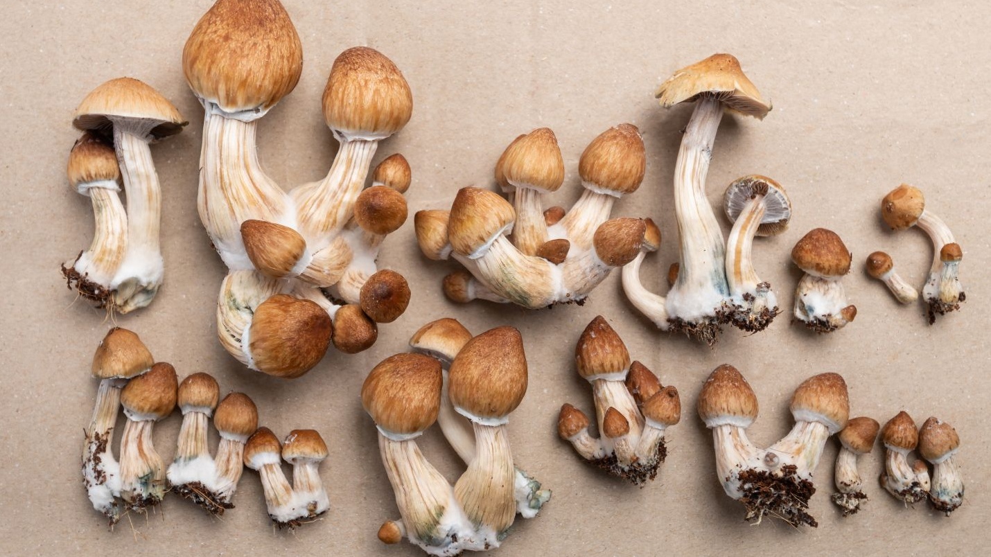 nhathuoclongchau.com.vn