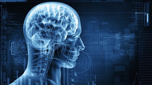 nao-bo-con-nguoi-hoat-dong-the-nao 1