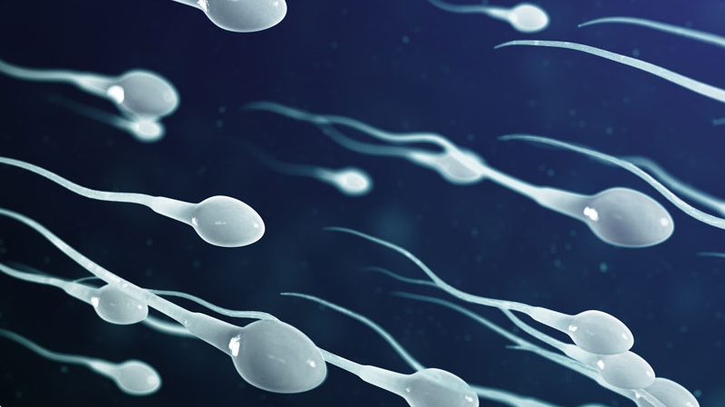 Nên đi khám hiếm muộn vào thời điểm nào? 4