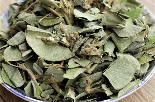 Nên uống kim tiền thảo trước hay sau bữa ăn? 2