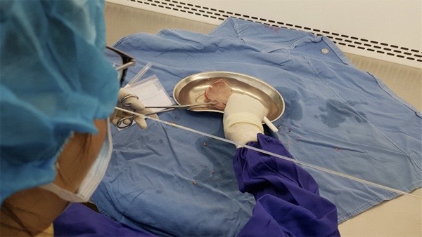 ngan-hang-mo-hoi-tho-cua-hy-vong-cho-tuong-lai-y-hoc (2).jpg