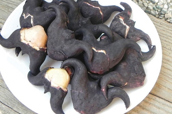 Ngộ độc củ ấu tàu có nguy hiểm không? Cần xử lý như thế nào? 2