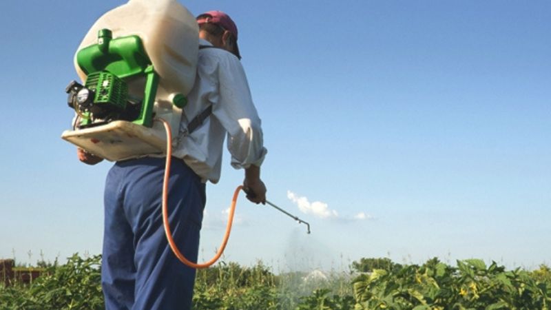 Ngộ độc organophosphate là gì và cách phòng ngừa hiệu quả 1