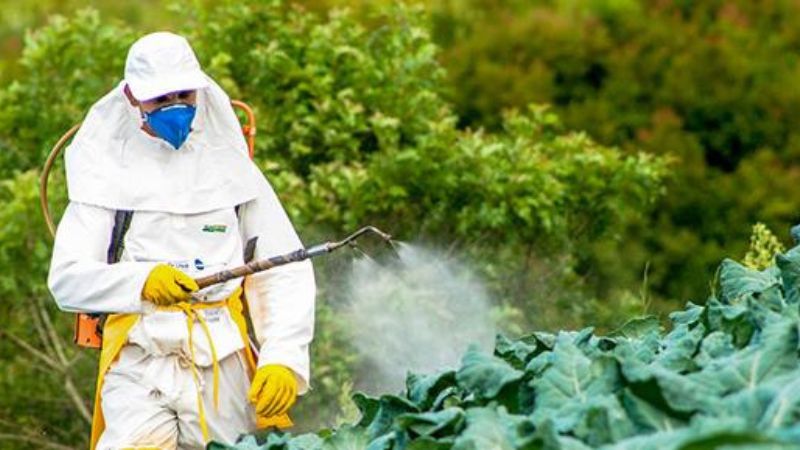 Ngộ độc organophosphate là gì và cách phòng ngừa hiệu quả 4