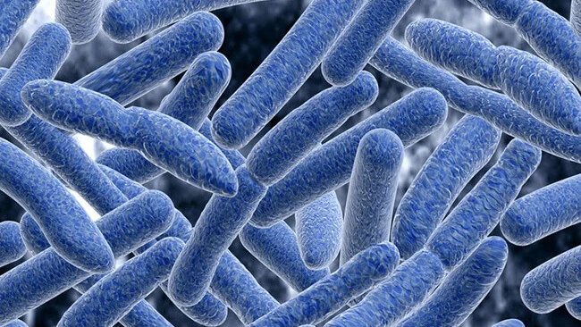 Ngộ độc thịt và những điều cần biết 1