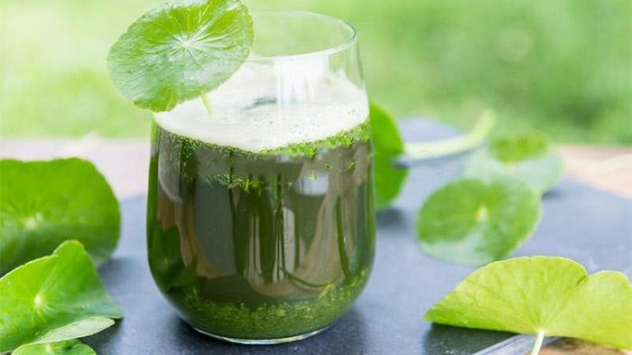 Người bệnh tiểu đường có ăn rau má được không 3