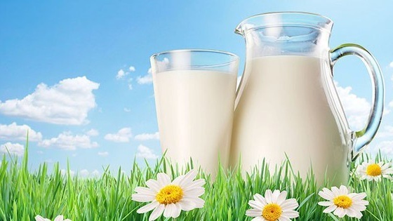 Người bệnh tiểu đường uống sữa bò được không? 1