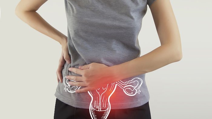 Người bị u xơ tử cung có dùng được Sâm Angela không? 3