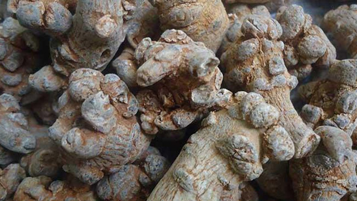 nguoi-cao-huyet-ap-co-nen-dung-tam-that 3.jpg