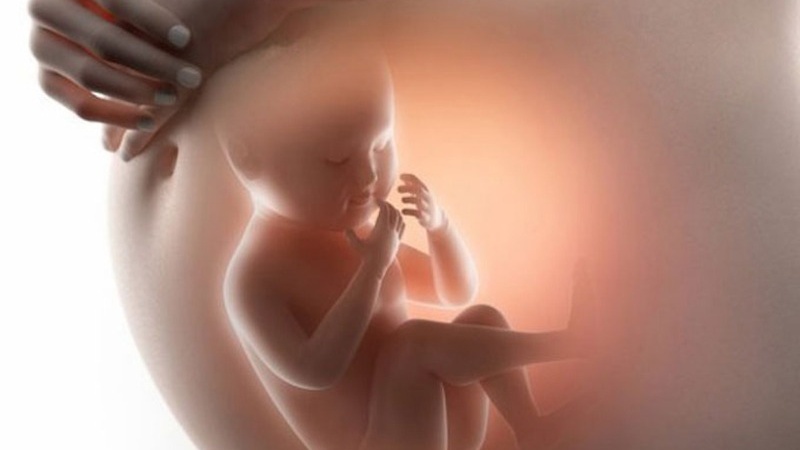 Người có một quả thận bẩm sinh có sống được không? Những điều cần lưu ý 1